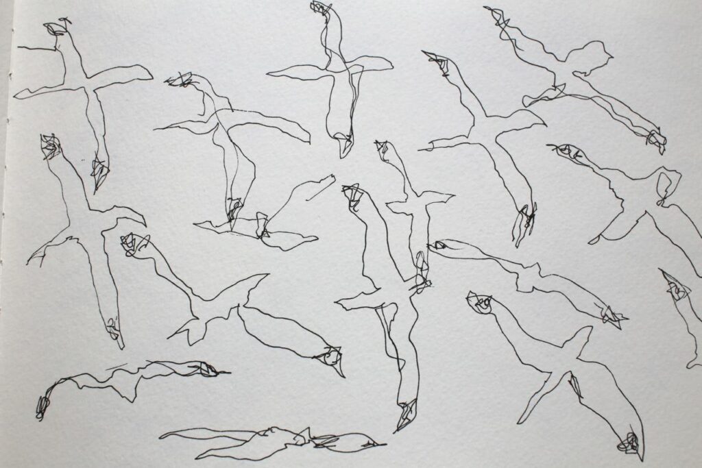 alicedrawing3